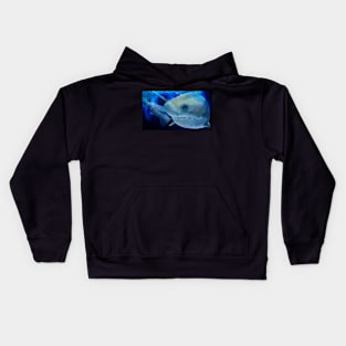 sharko Kids Hoodie